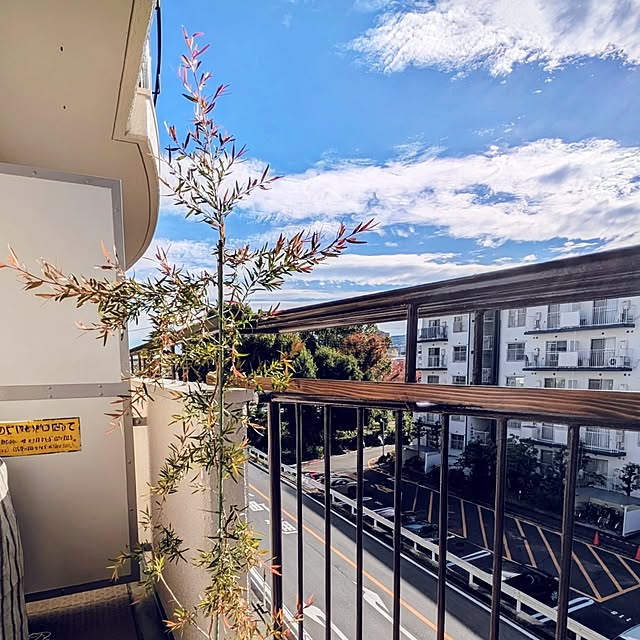 mi-saさんの実例写真