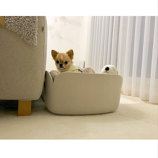 haruhinaさんの実例写真