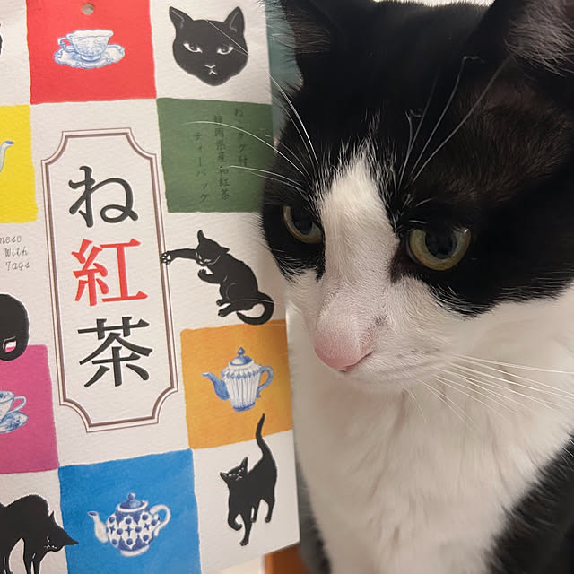 Fujikoさんの実例写真