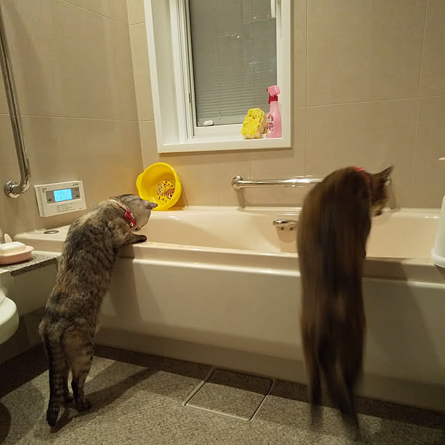 chikoさんの実例写真
