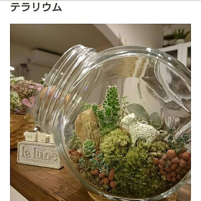 hiroさんの実例写真