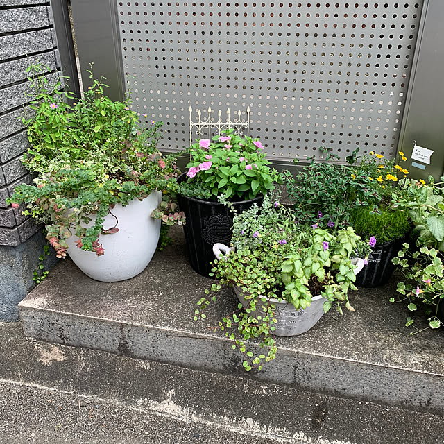 maayaさんの部屋