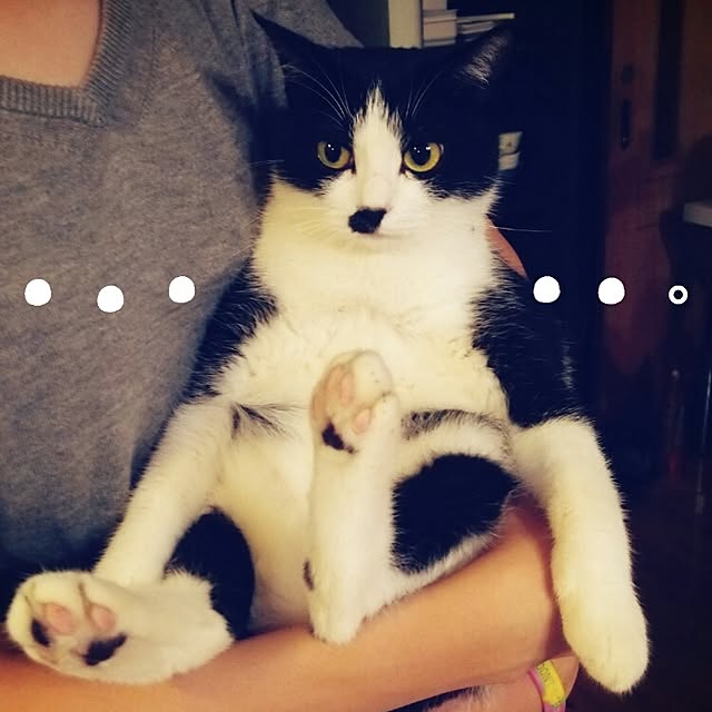 Chomeakiさんの実例写真