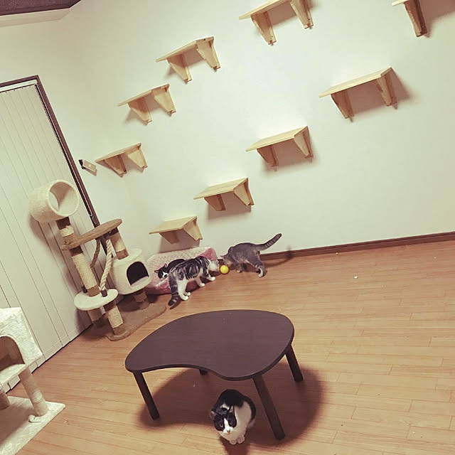 yasuyoさんの実例写真
