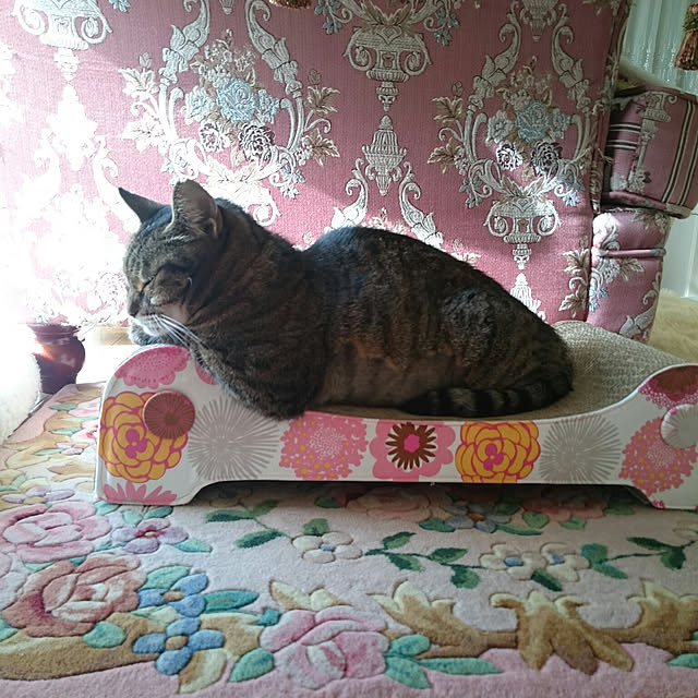 lilyさんの実例写真