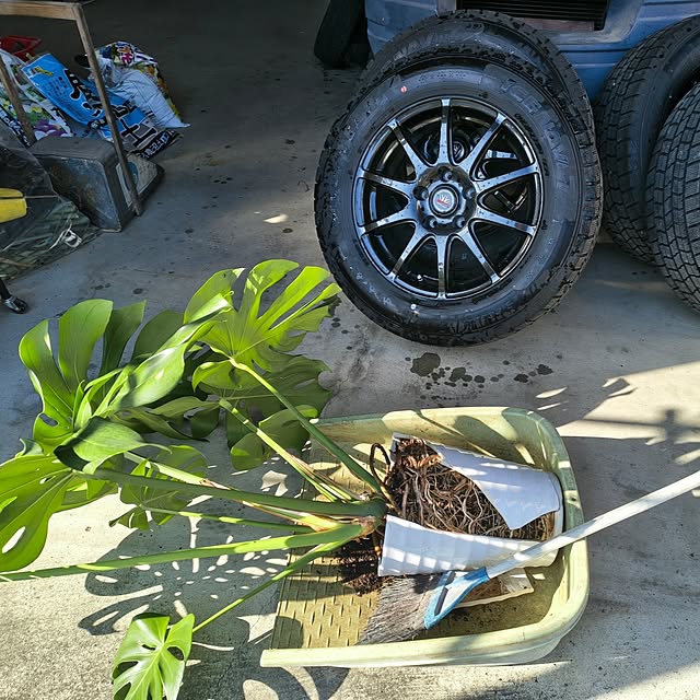 Rubiconさんの部屋