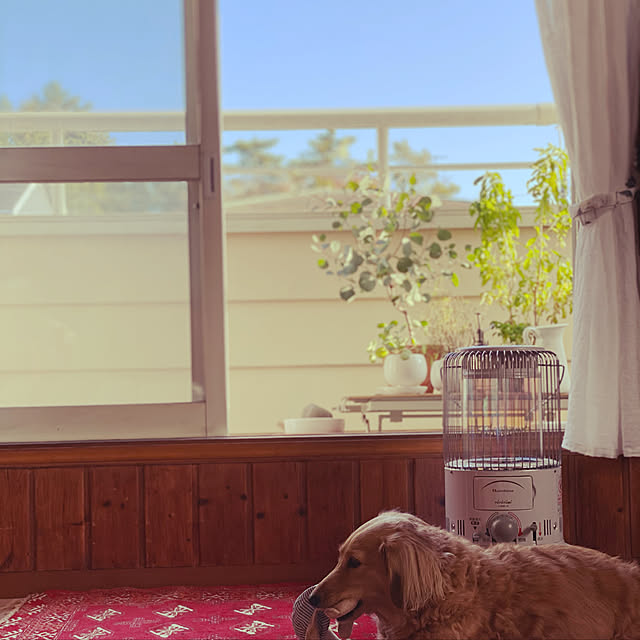 rashさんの実例写真