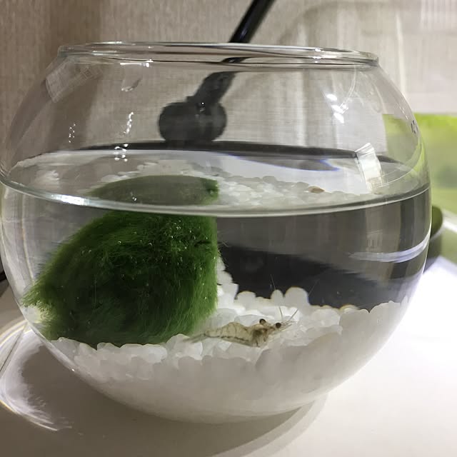 nukoさんの実例写真