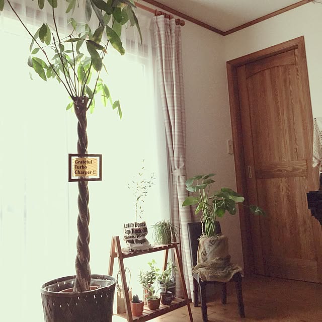 tumu-tumuさんの実例写真