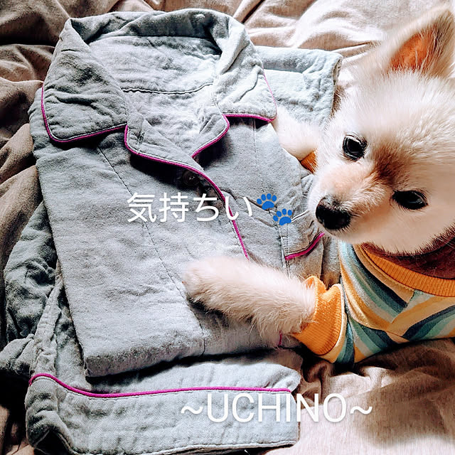 akaidarumaさんの実例写真