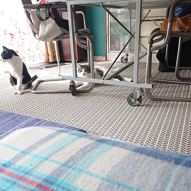 okyosan101さんの実例写真