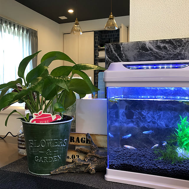 Nishiaiさんの実例写真