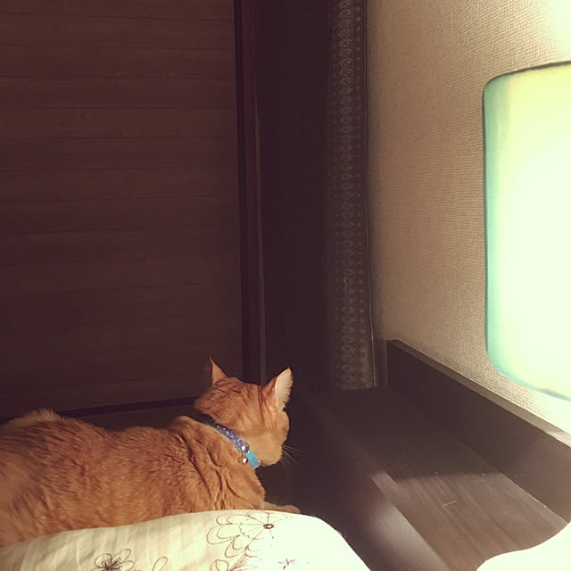 nonnokoさんの実例写真