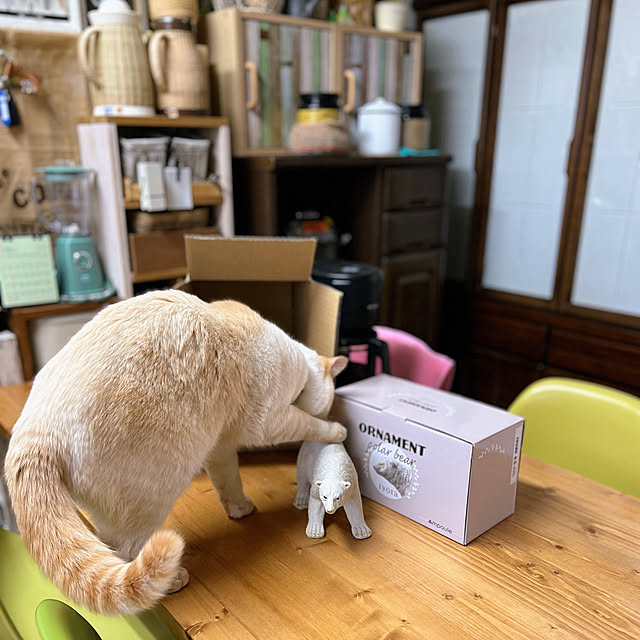 mohhaさんの実例写真