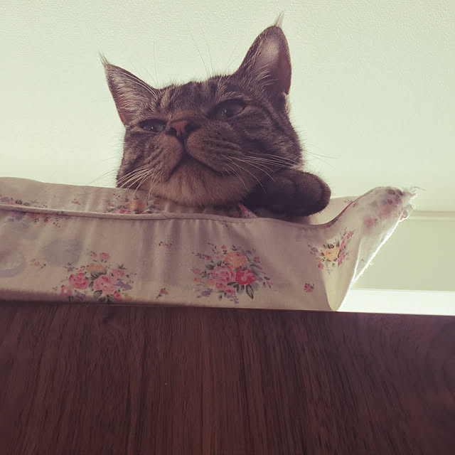 KANさんの実例写真