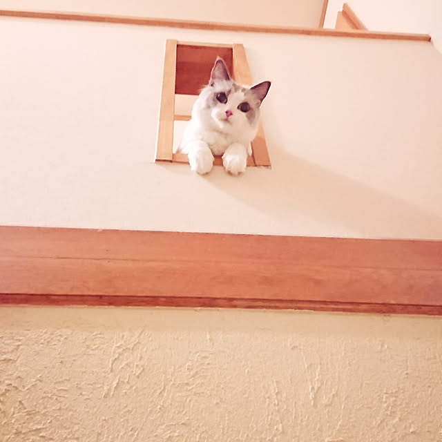 sumishouseさんの実例写真