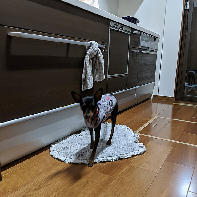 shizuponさんの実例写真