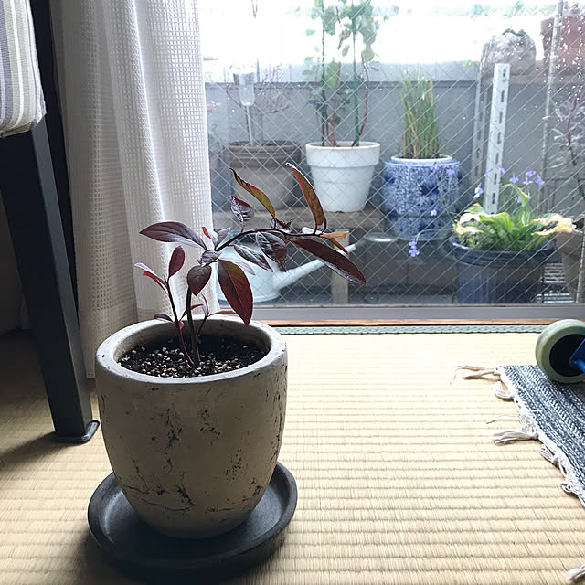 hittonさんの実例写真