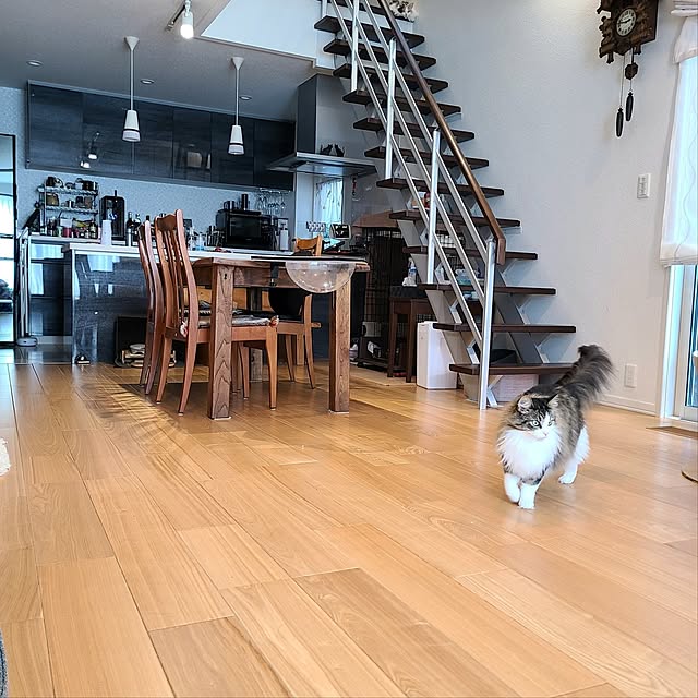 akiko6193さんの実例写真