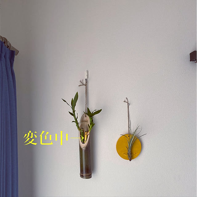 plant-happinessさんの実例写真