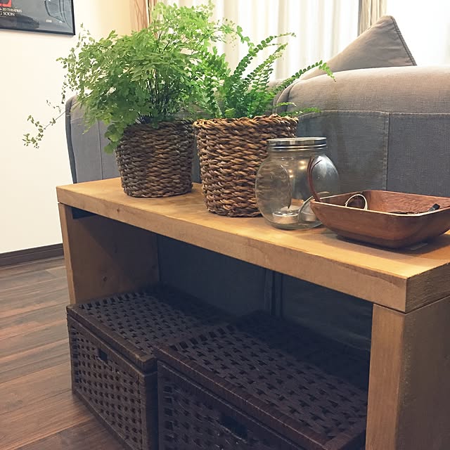 棚/観葉植物/DIYのインテリア実例 - 2017-07-19 21:59:47