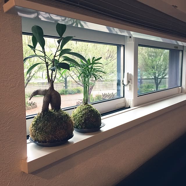 ACEさんの実例写真