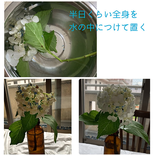 eshinobumさんの実例写真