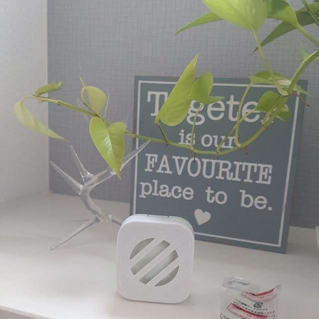 tan5さんの実例写真