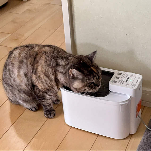 nekozo328さんの部屋