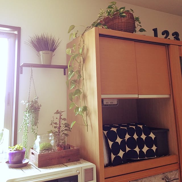 tataさんの実例写真