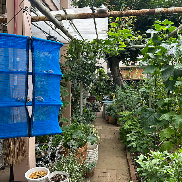 botanさんの部屋