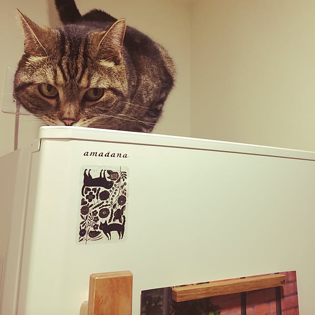 mikomaruさんの実例写真