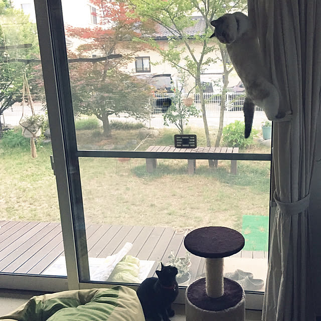 nanaさんの実例写真
