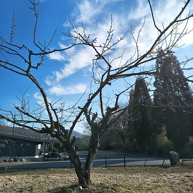 Rubiconさんの部屋