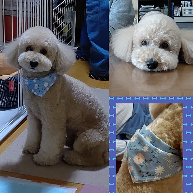 yumirinさんの実例写真