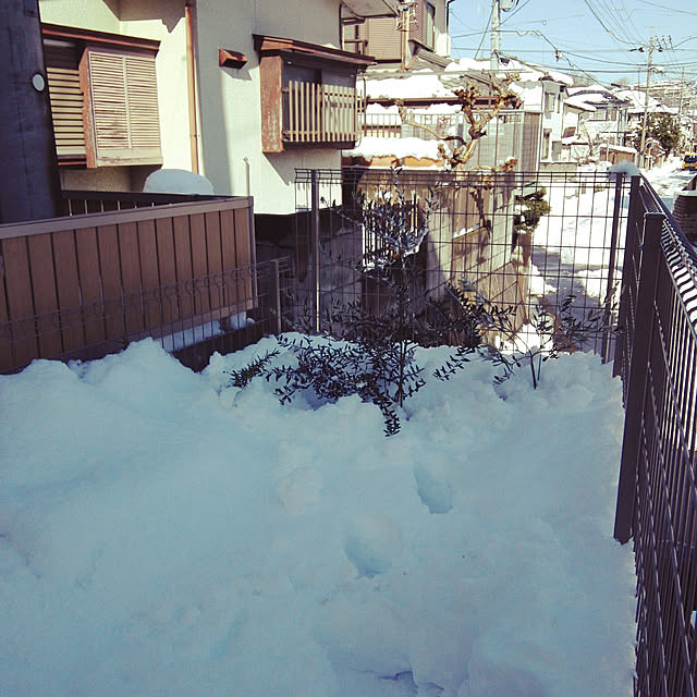 yukanaさんの実例写真