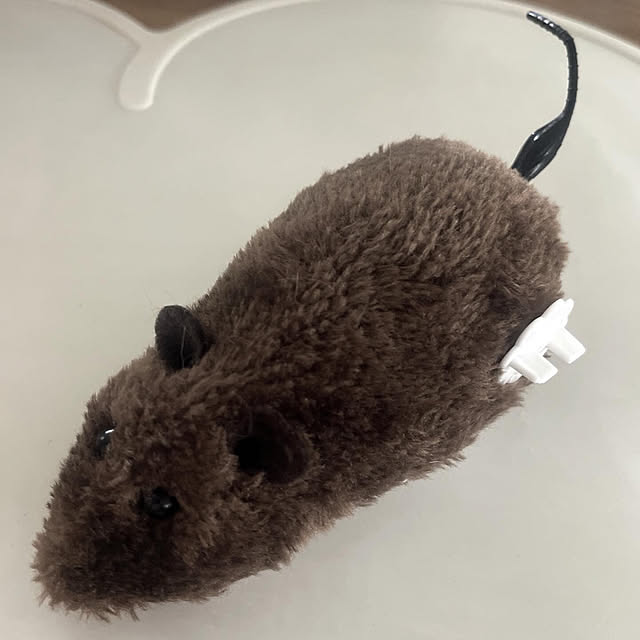 Ohigeさんの実例写真