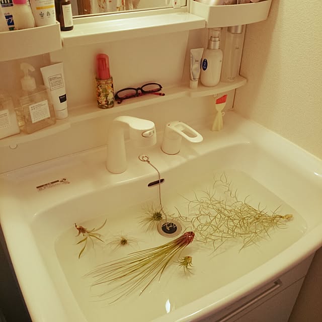 chicoさんの実例写真