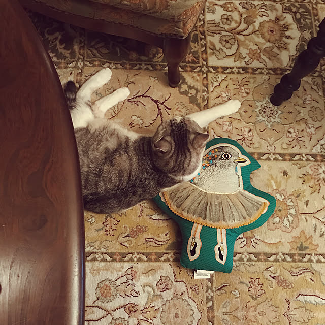 emmyyさんの実例写真
