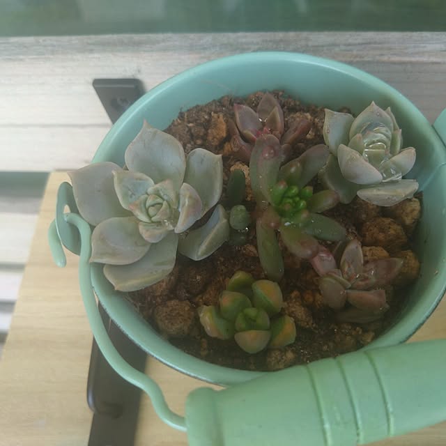 mamekoさんの部屋