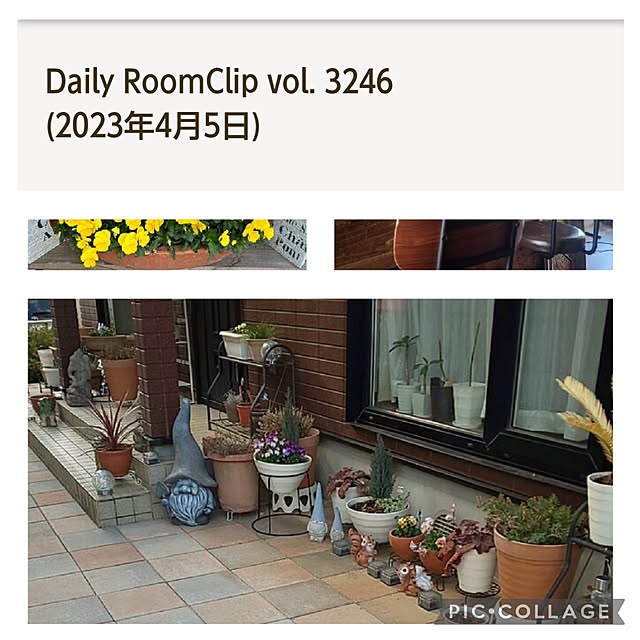 yumiyumiさんの実例写真