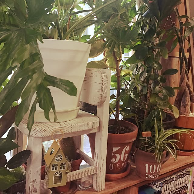 k.i.brothersさんの実例写真