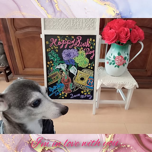 moruさんの部屋