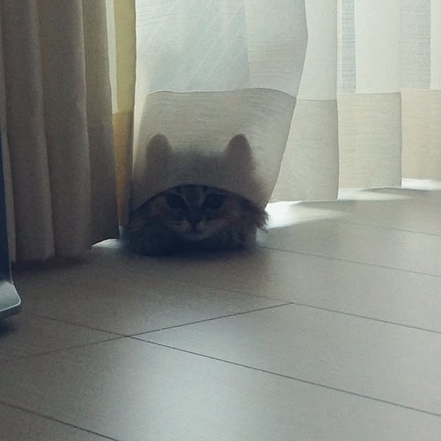 riorio1015さんの実例写真