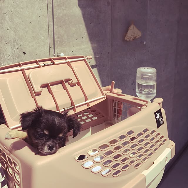 kumachanさんの実例写真