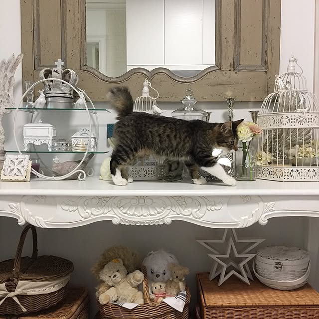 yuchiさんの実例写真