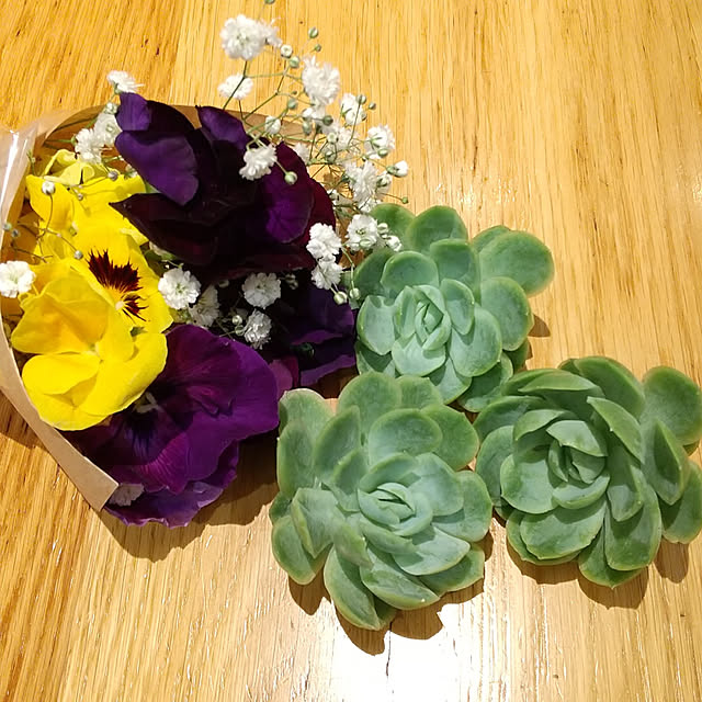 noaさんの実例写真