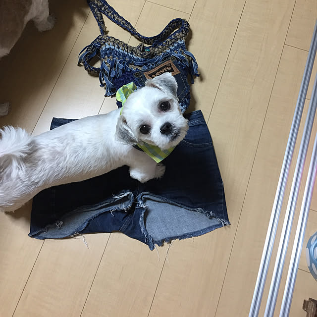 emiさんの実例写真