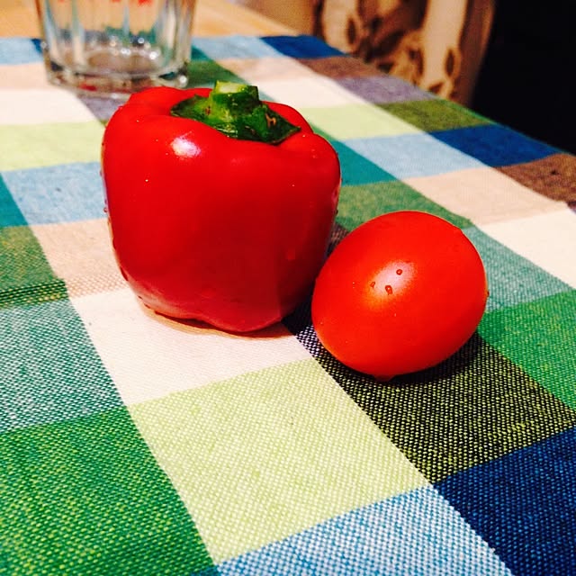 panさんの実例写真