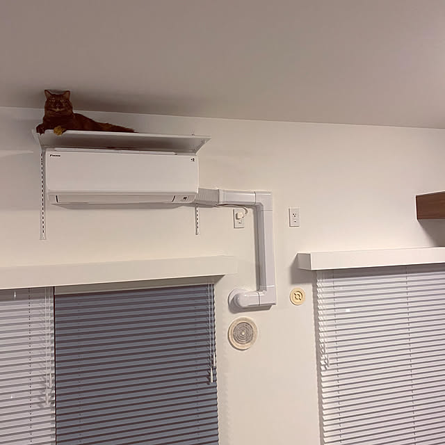 mikomaruさんの実例写真
